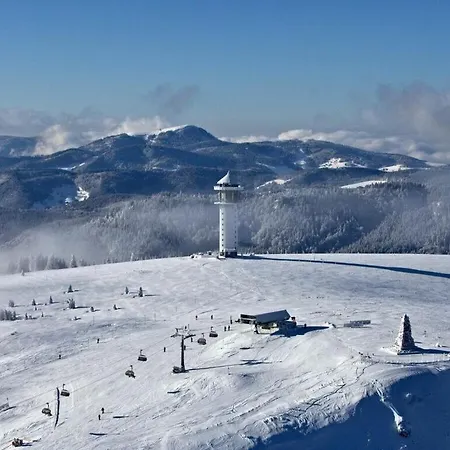 Prázdninový dům Isolde Hochschwarzwald Neuenburg am Rhein