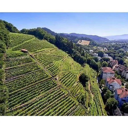 Prázdninový dům Isolde Hochschwarzwald