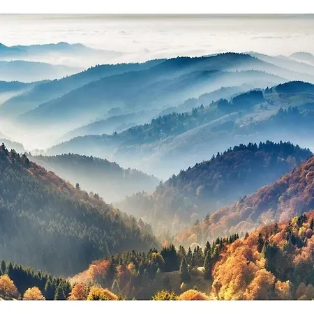 Prázdninový dům Isolde Hochschwarzwald *