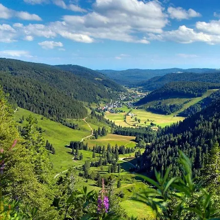 Prázdninový dům Isolde Hochschwarzwald