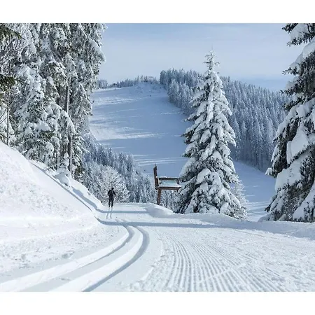 Prázdninový dům Isolde Hochschwarzwald